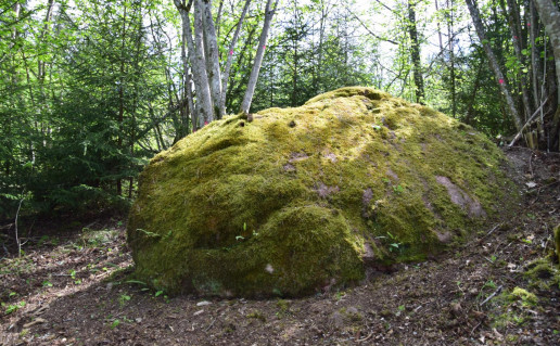 Linartų akmuo.jpg